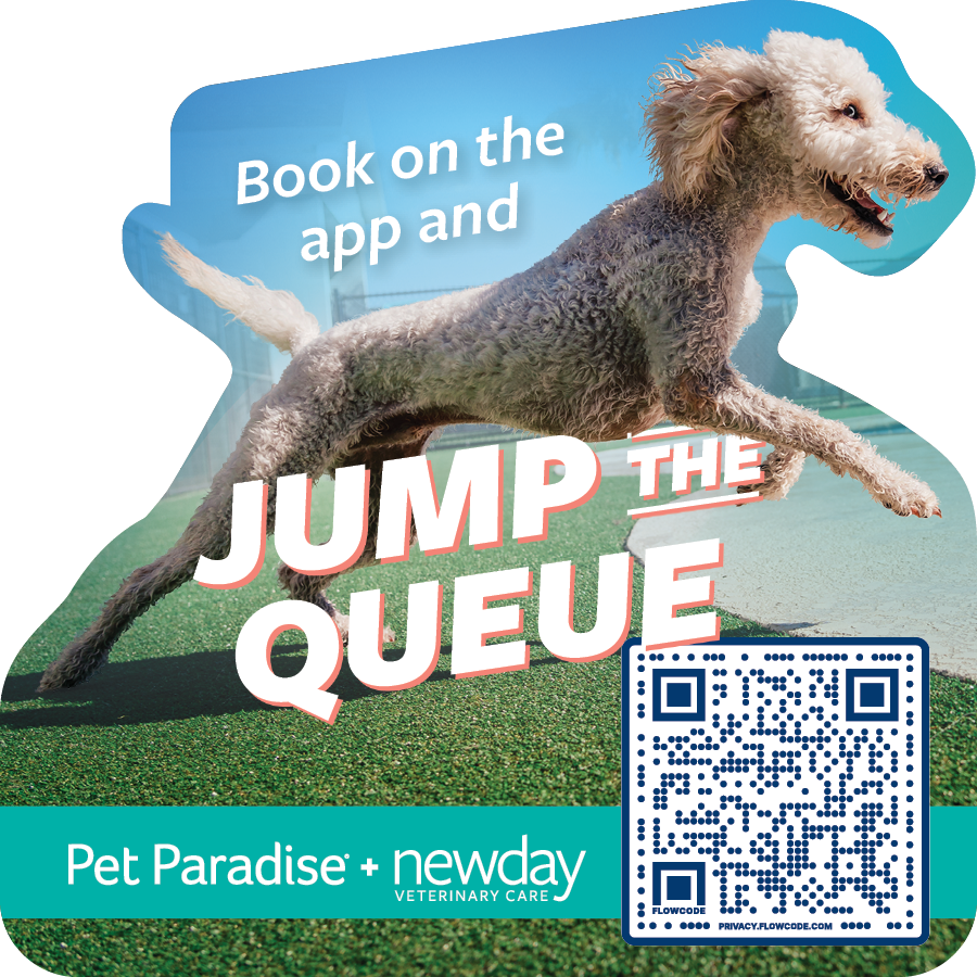 A magnet design for Pet paradise's Jump the Queue marketing campaign.